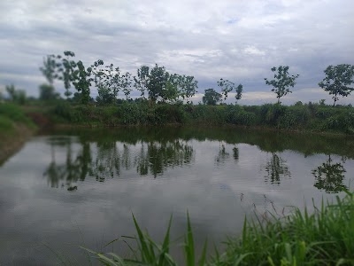 Manpakadi