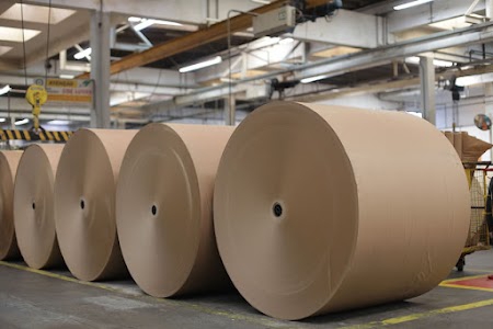 Banganga Paper Mills