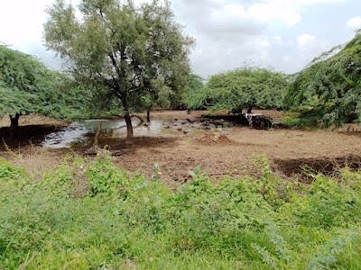 Vankaner