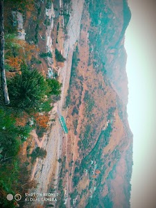 Nona Bandi