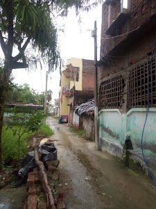 Dekuli