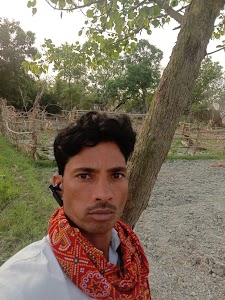 Dumriya Amhi tola