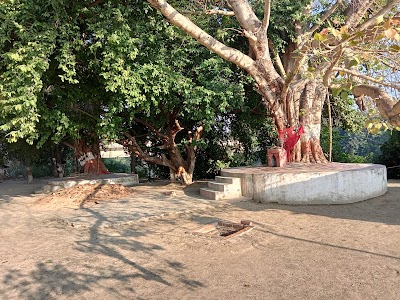 Jethauti Rajputan