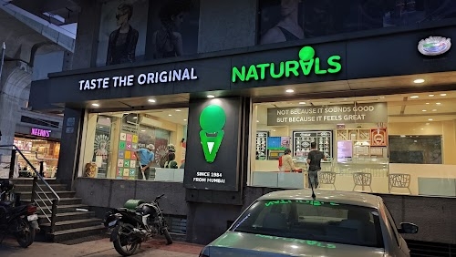 Naturals Ice Cream