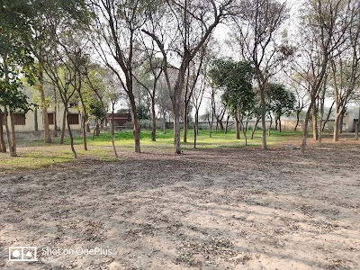 School Play Ground