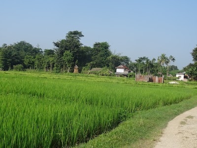 Rajgadh