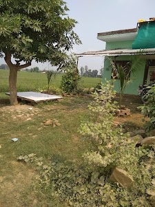 Bhabhaura
