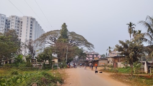 Lokhra forest gate