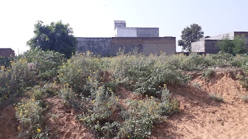 Diya Gas