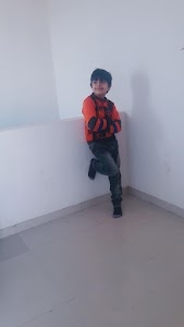 Kadi
