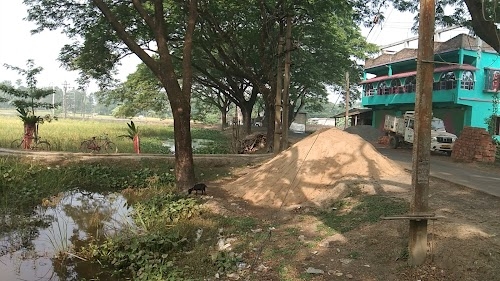Sokher Bazar Green house