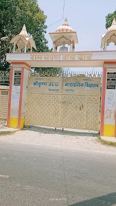 Sri Krishna High School