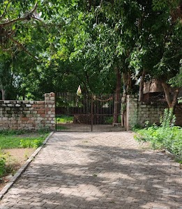 बाबा रामदेव जी मंदिर