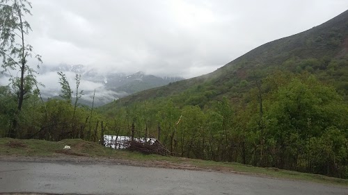 Doru