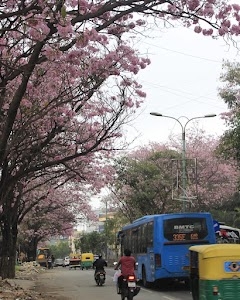 Banglore