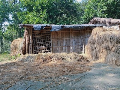 Awapur Uttari