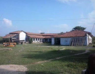Aurai