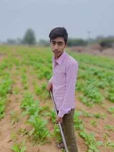 Anil sain