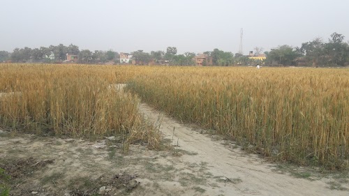 Jamalabad