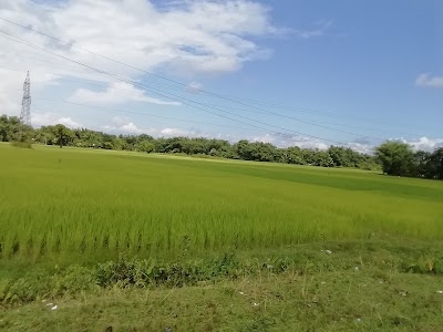 Duliajan to bordubi road