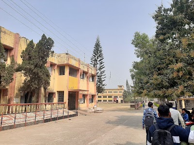 Kaliachak College