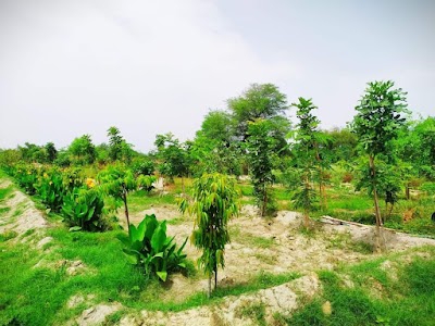 Surya Kund