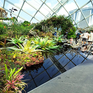 Gardens by the Bay - The Meadows Car Park