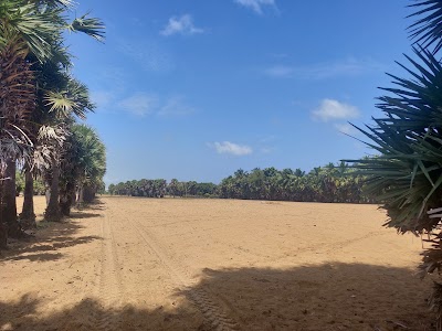 Sadurangapattinam