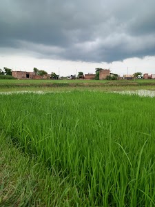 Punhana