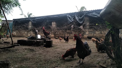 Naliyamandavi