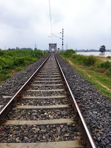 Pipiganj