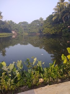 Pairagachha