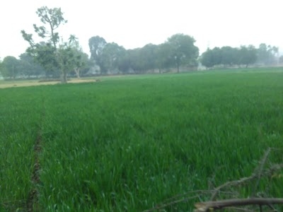 Biharipura