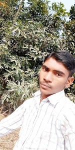 Sunil Tee Stall