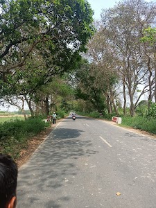 पतौन मिश्र