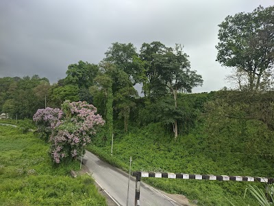 Harmuti