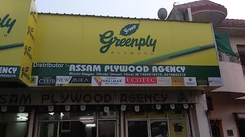 Assam Plywood Agency