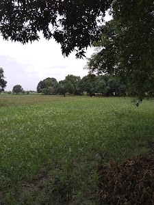 Braj Garden
