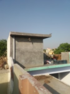 Durga Public School