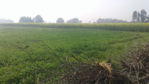 CMS JAN SEWA KENDRA LOHARI