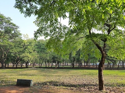 A-Zone Major Park