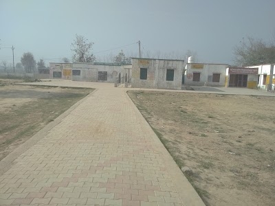 Primary School
