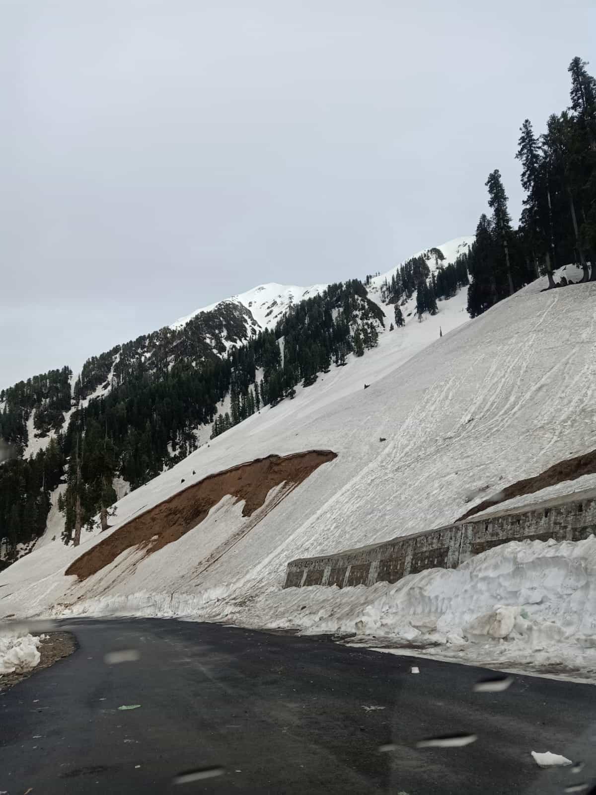 kashmir
