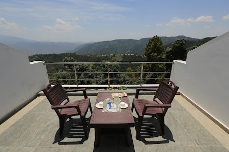 Ezzenza Jungle Livinn, Chail
