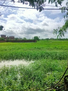 Garden Ujjaini