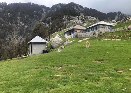 Triund Trek