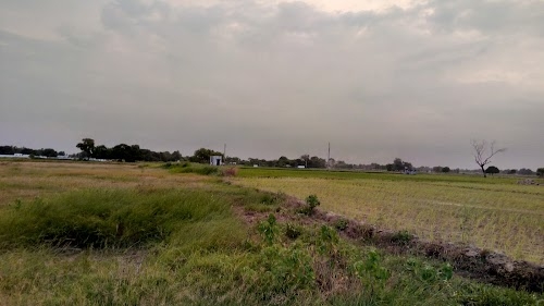 Bhatauli