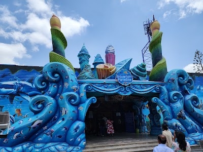Aquarium Paradise
