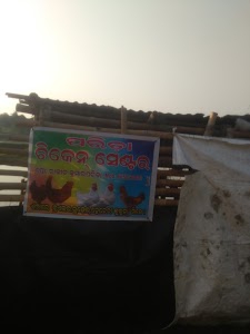 ପରିଡା ଚିକେନ୍ ସେଣ୍ଟର୍