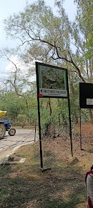 Forest Department Green Belt.
